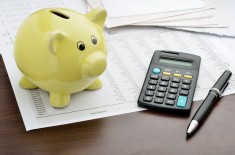 Online Learning on a Budget